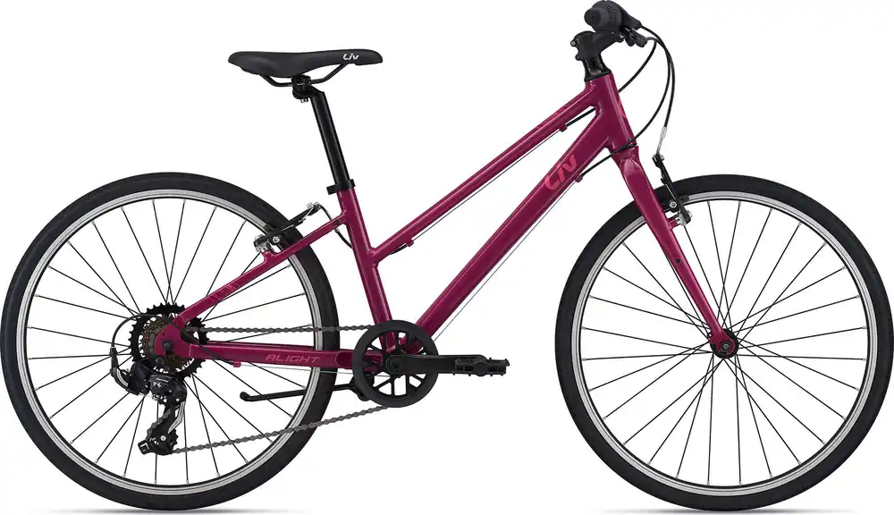 Women‘s Alight - Purple - 24