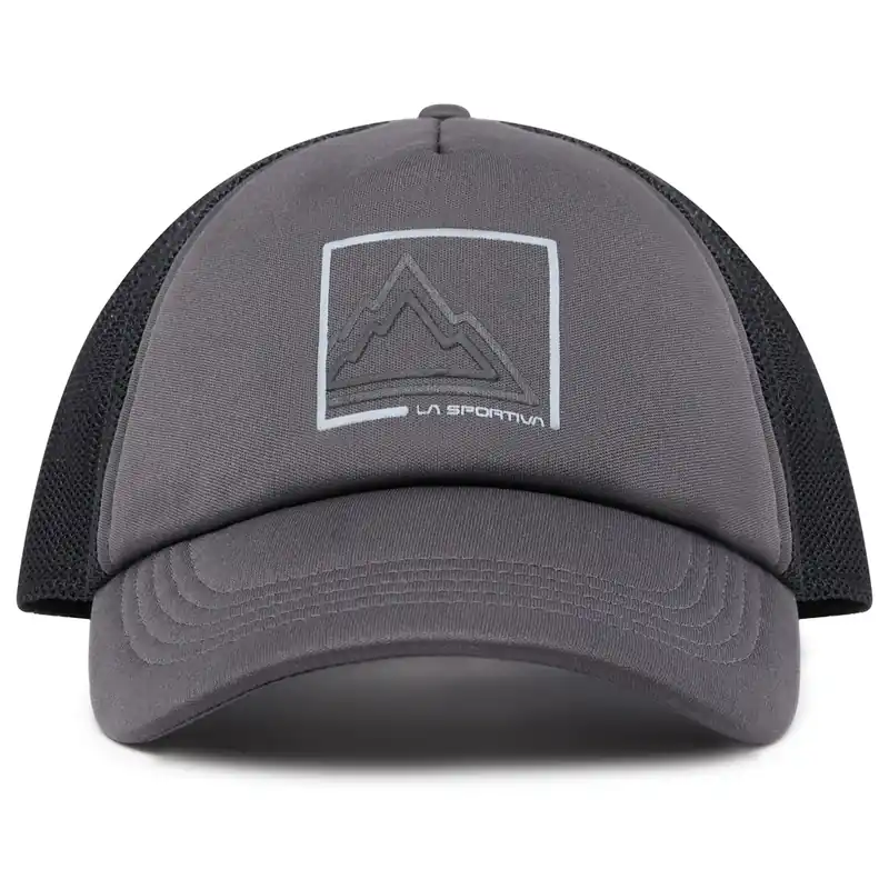 Box Trucker Hat - Carbon - rge