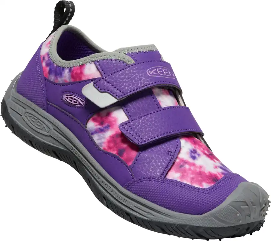 Speed Hound - Tillandsia Purple/multi - 6