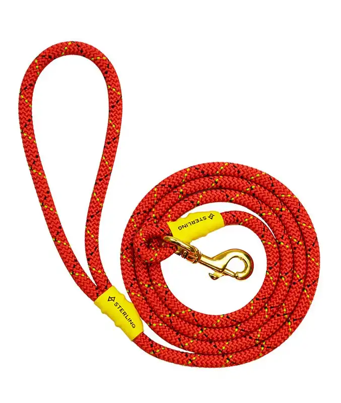 Dog Leash - Red