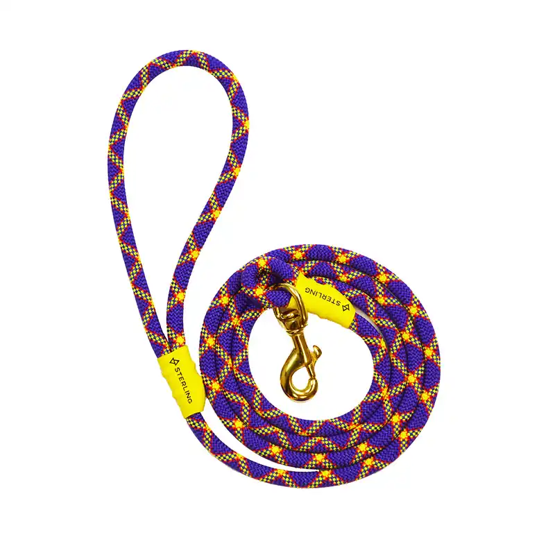 Dog Leash - Purple