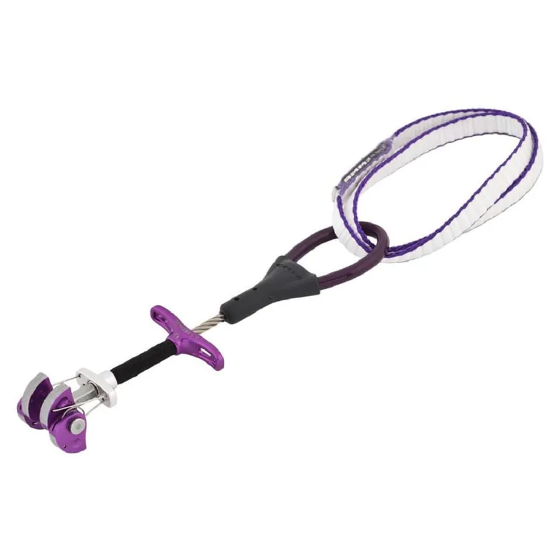 Dragonfly Cam - Purple - 6